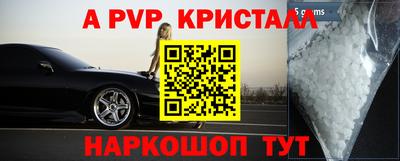 дмт Славгород