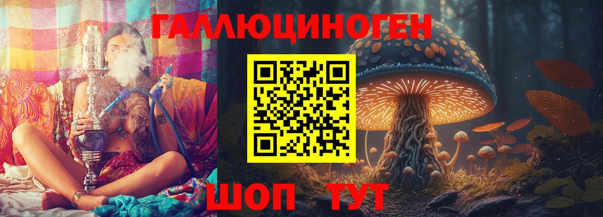 Галлюциногенные грибы Psilocybe  Вход с VPN  Псилоцибиновые грибы Psilocybine cubensis  Орёл 